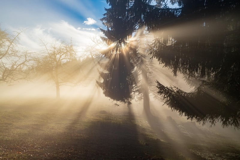 Black Forest, Germany