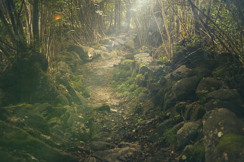 Dreamy Forest Portrait